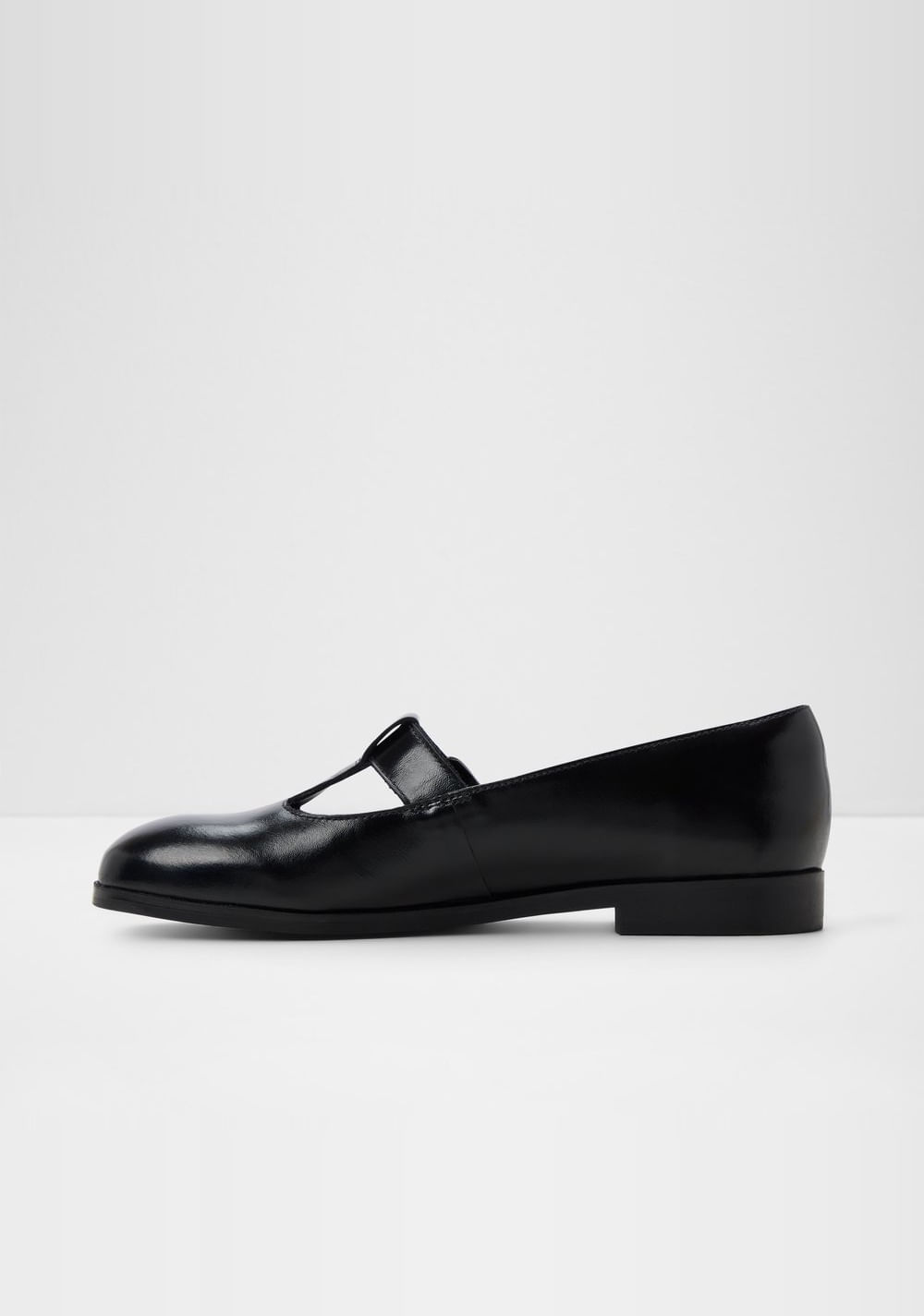 Bailarinas Lothilarin-in Aldo 3