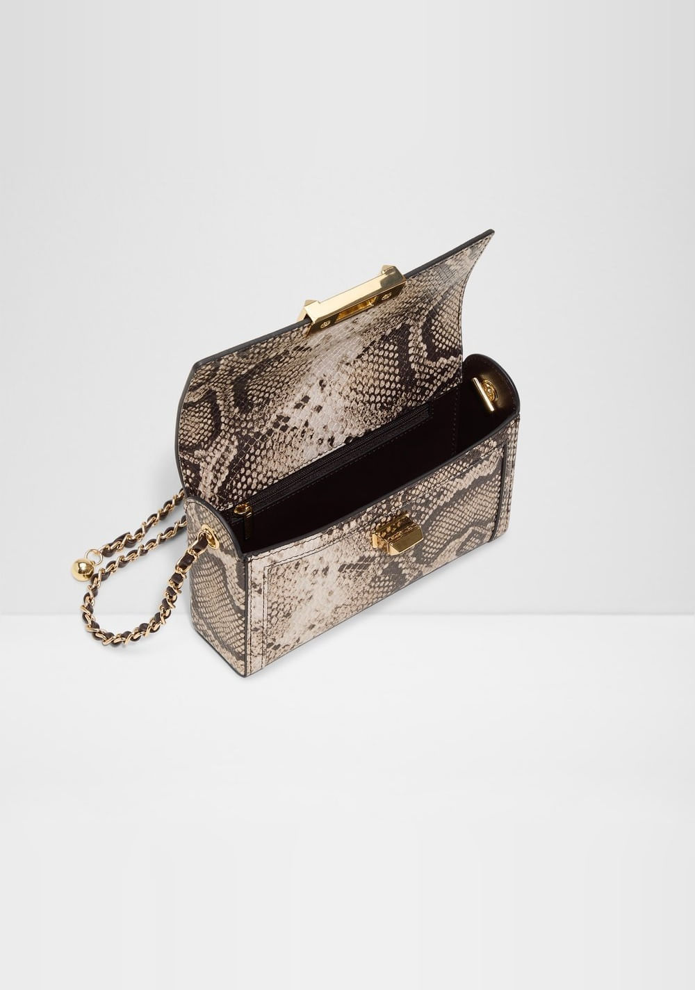 Cartera de Fiesta Zoemini Aldo 3