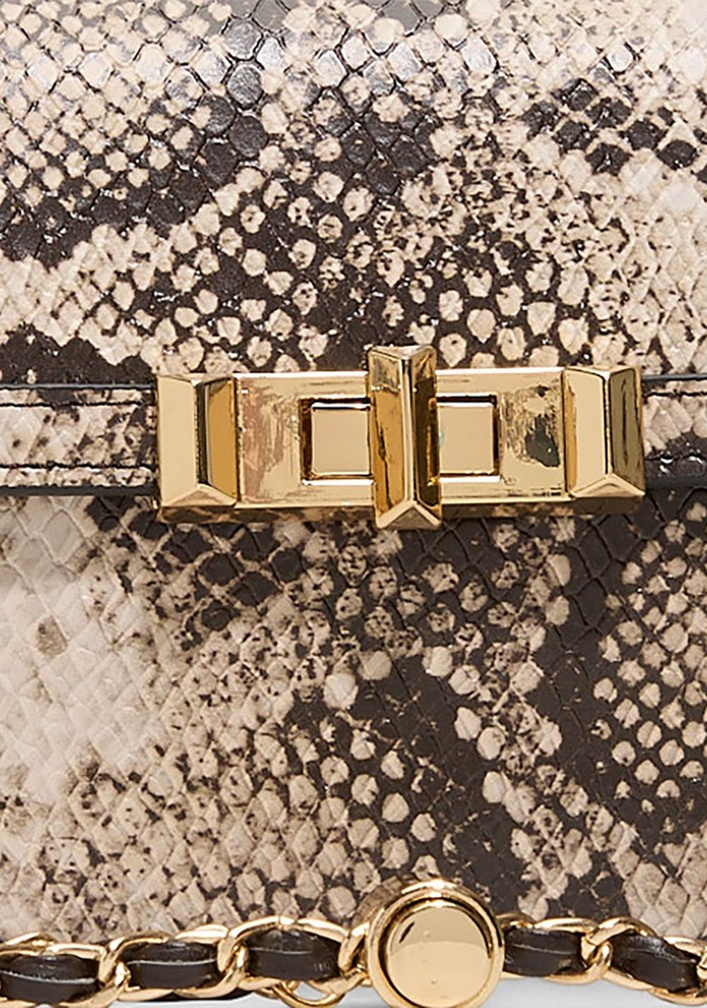 Cartera de Fiesta Zoemini Aldo 6