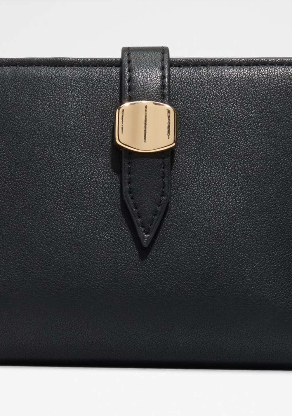 Cartera Meraessi Aldo 4