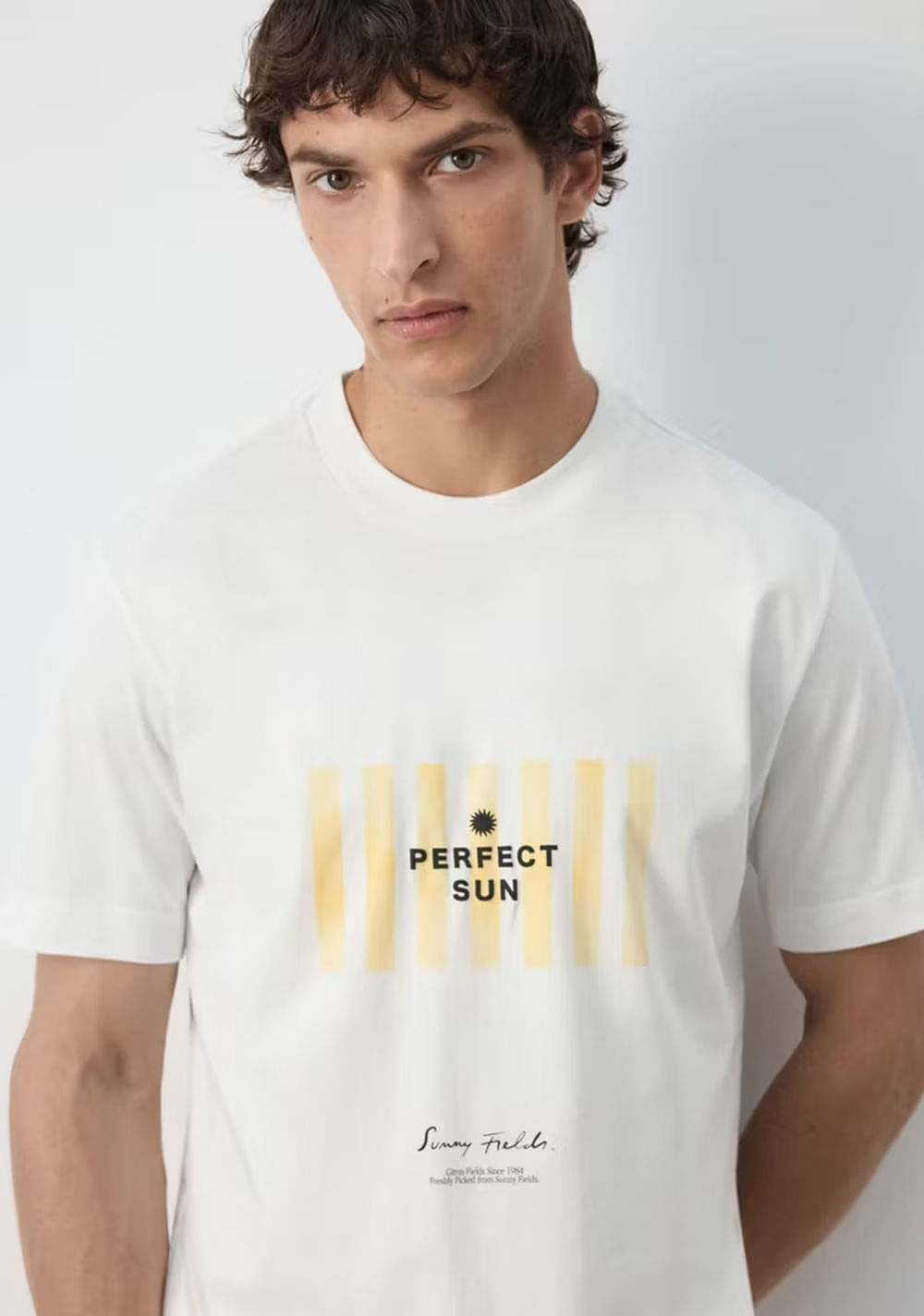 Camiseta 100% Algodón Estampada Mango 4