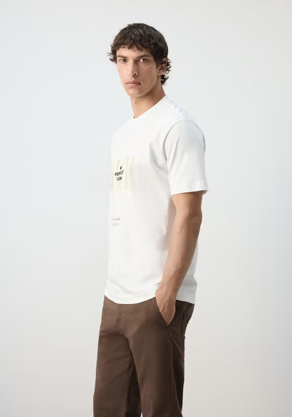 Camiseta 100% Algodón Estampada Mango 5