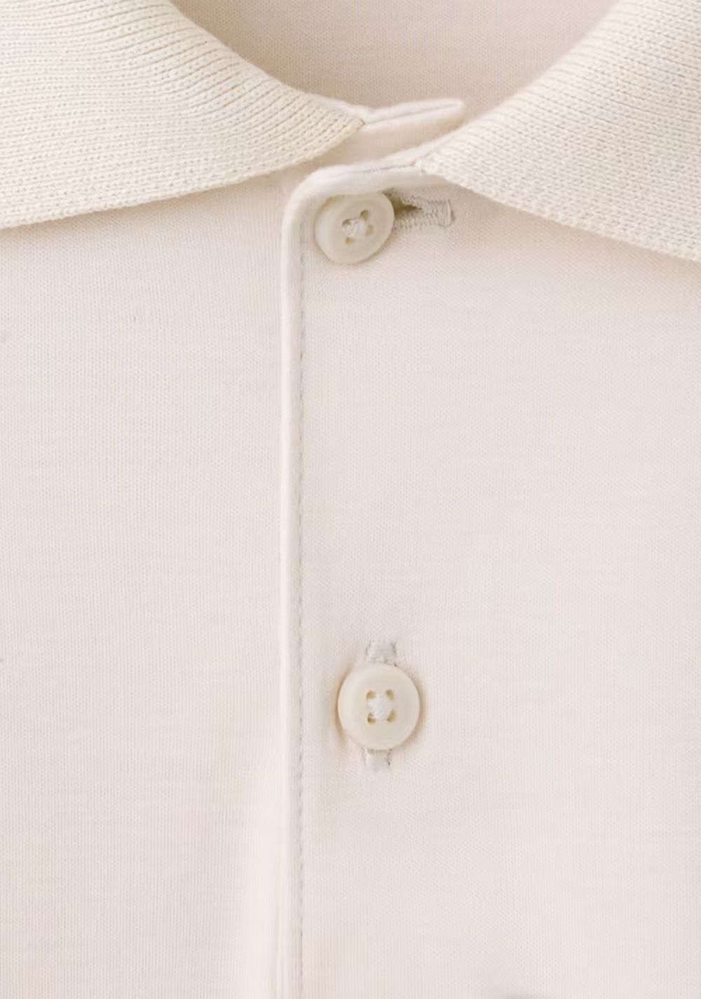 Polo Algodón Regular Fit Mango 6