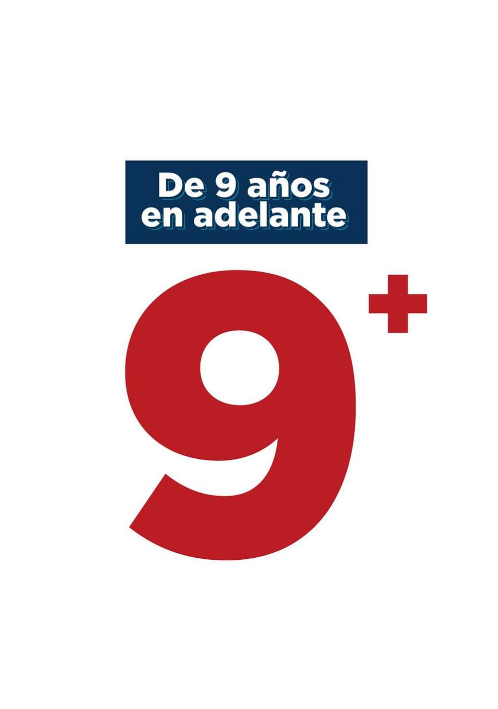 Bloques de Construcción de Plantas Suculentas Miniso Unisex - Vista 7