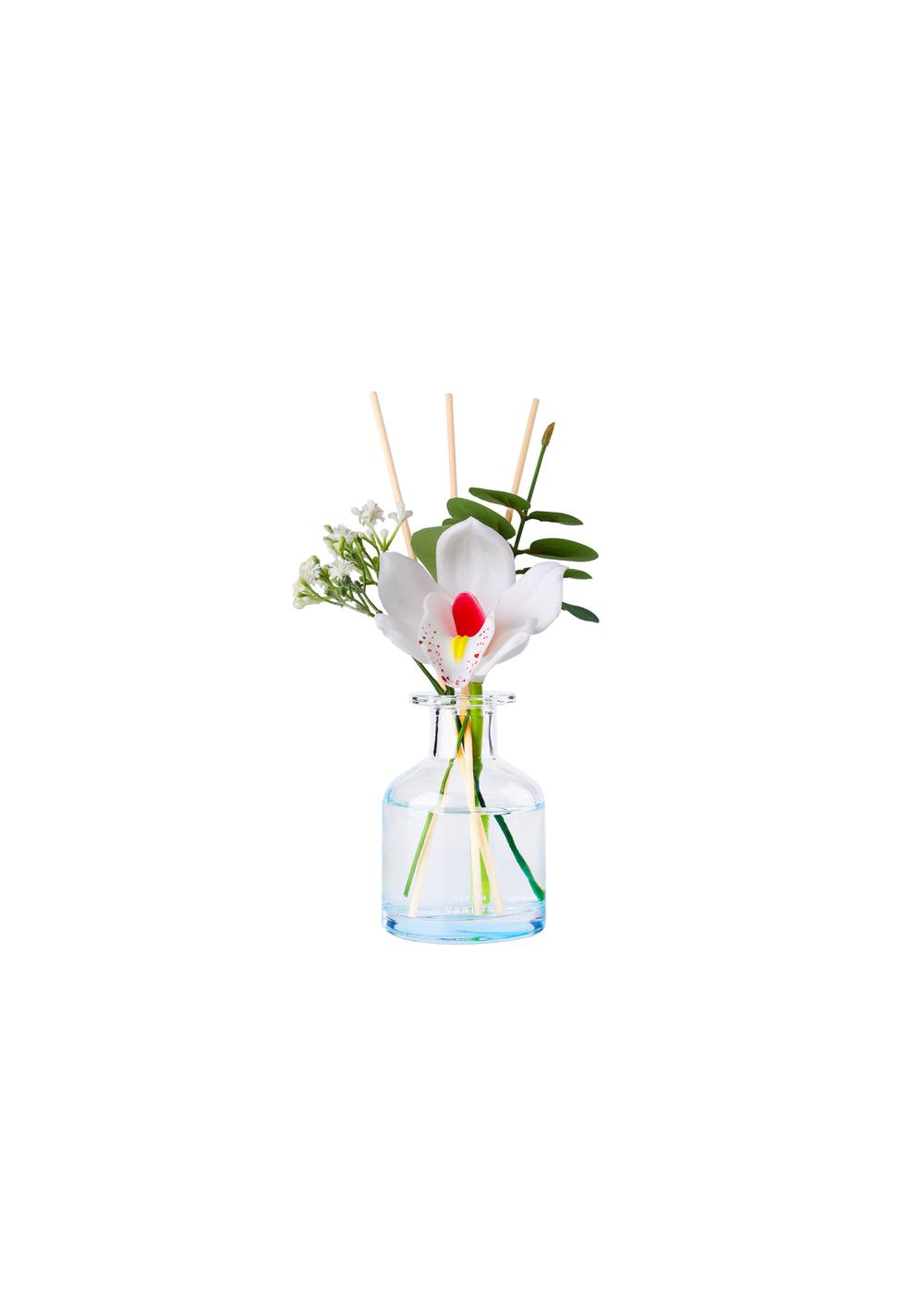 Difusor Mikado Fragancia Vainilla, 100 Ml Miniso