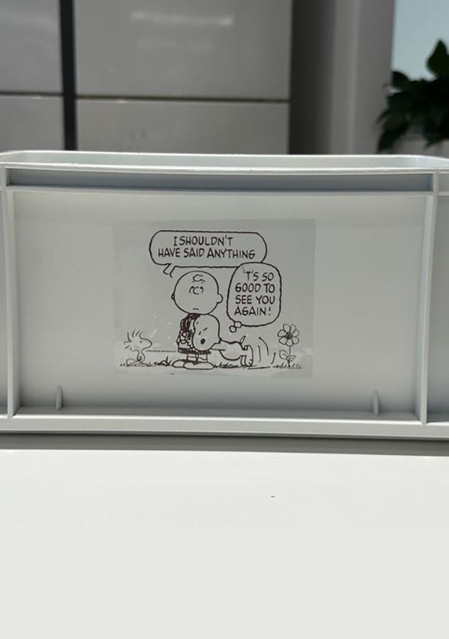 Organizador Grande Apilable sin Tapa Serie Snoopy Miniso