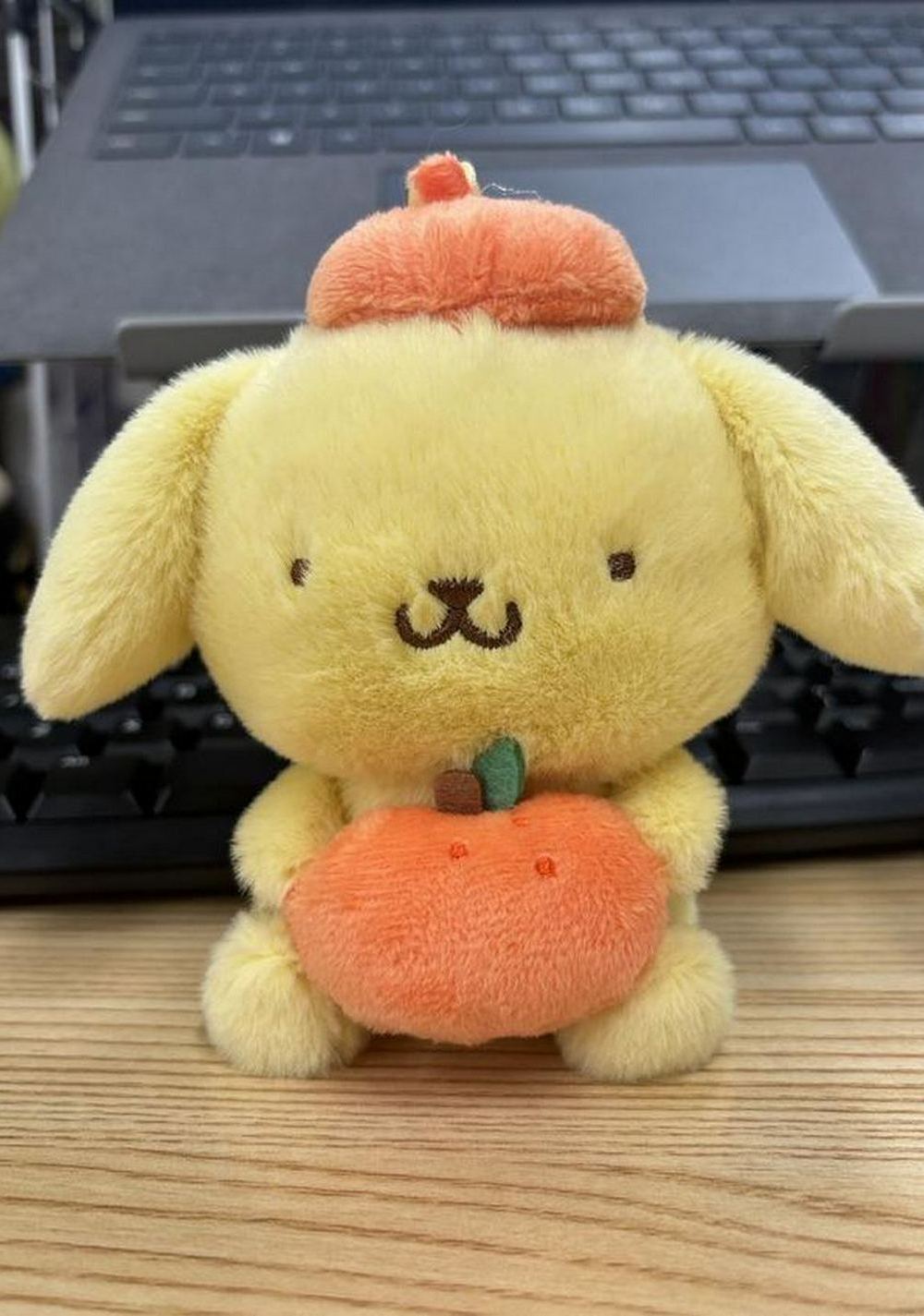 Peluche Colección Pompompurin Sanrio Miniso