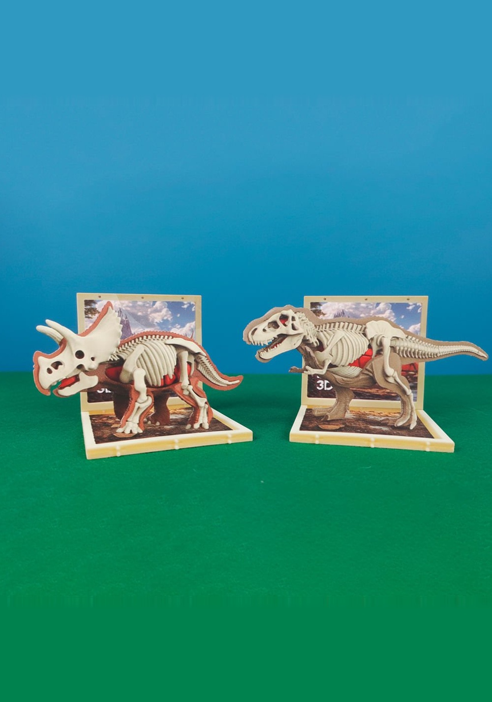 Set Armable Dinosaurios Anatomía Diseño Aleatorio Miniso Unisex - Vista 3
