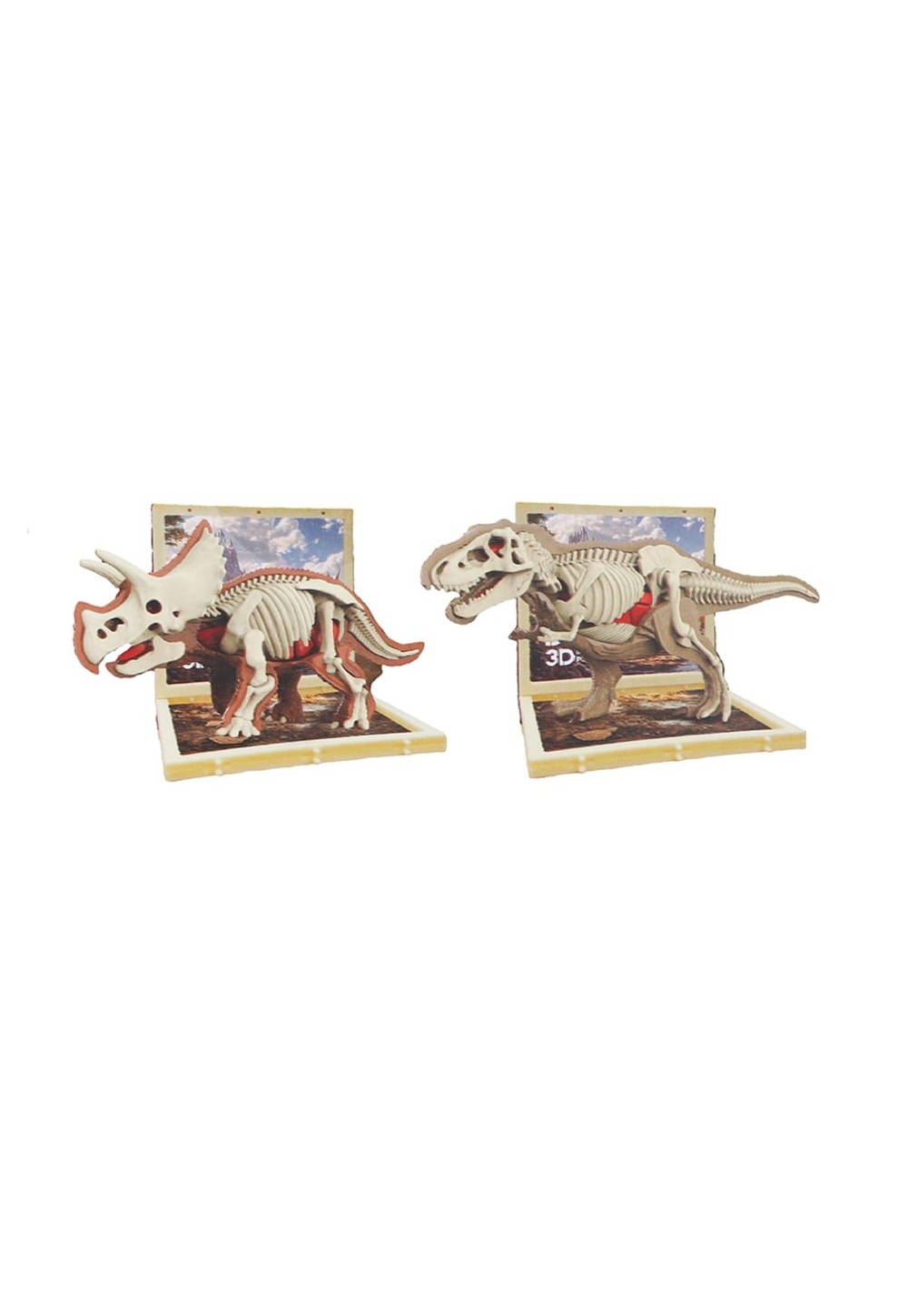 Set Armable Dinosaurios Anatomía Diseño Aleatorio Miniso