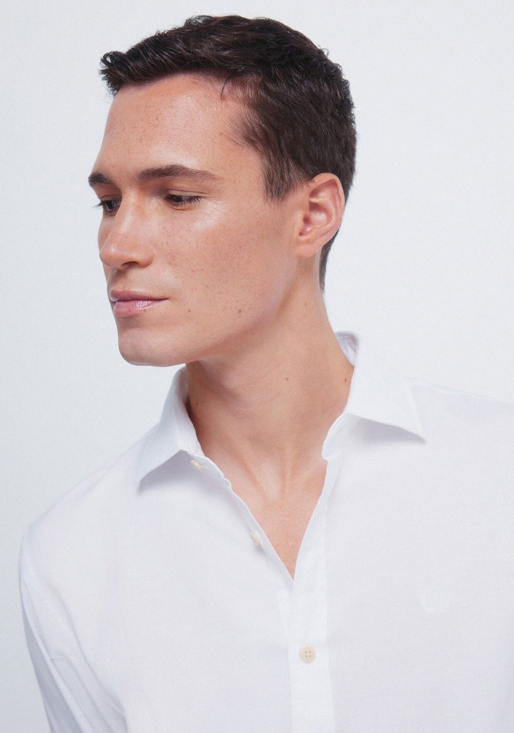 Camisa Estructurada Springfield 2
