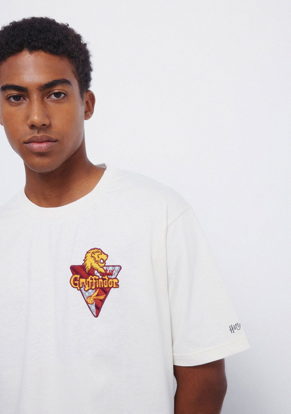 Camiseta Gryffindor Springfield 2