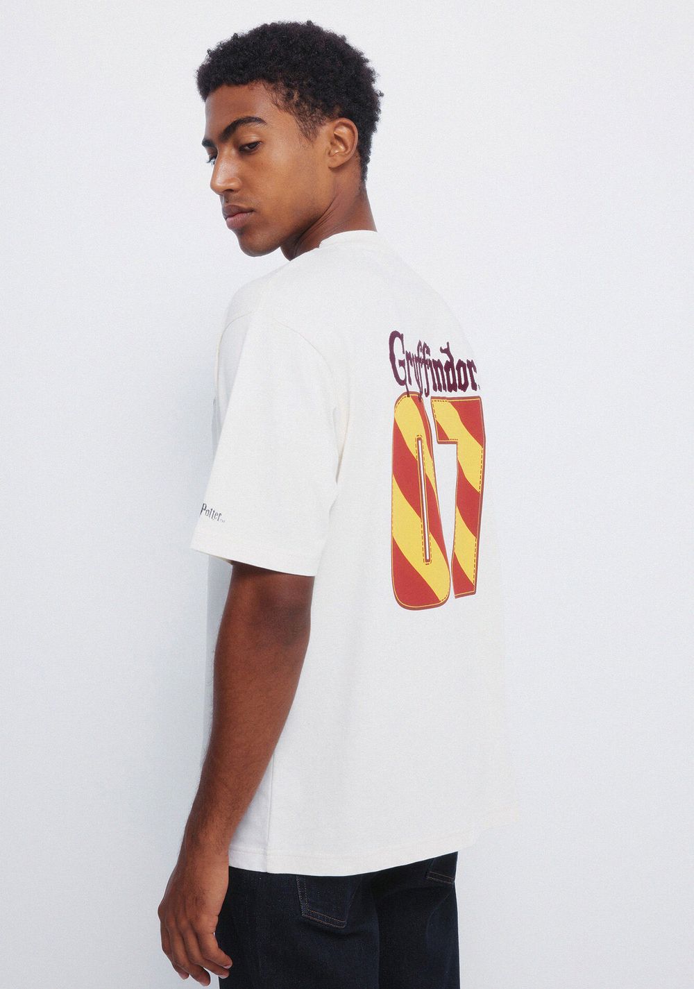 Camiseta Gryffindor Springfield 4