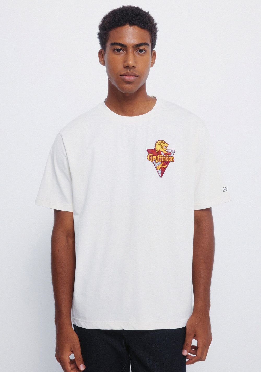 Camiseta Gryffindor Springfield Imagen Principal