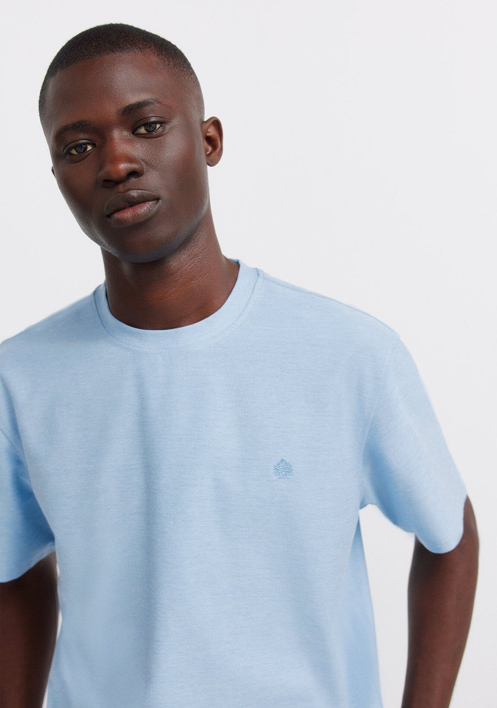 Camiseta de Oxford Springfield 5