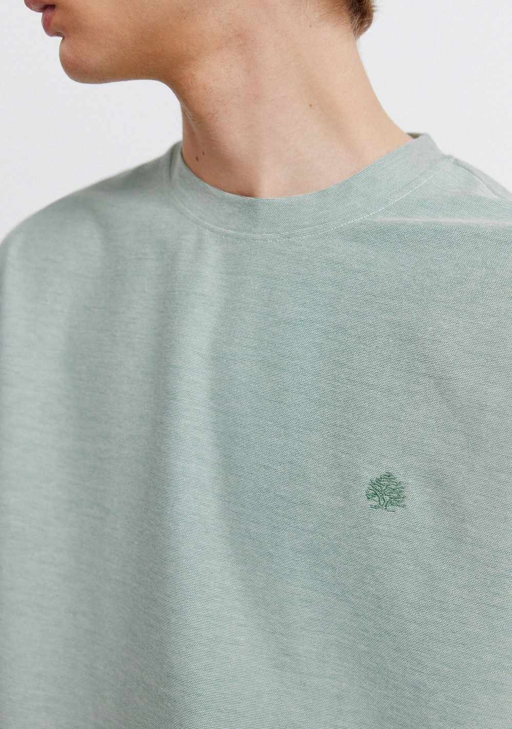 Camiseta de Oxford Springfield 3