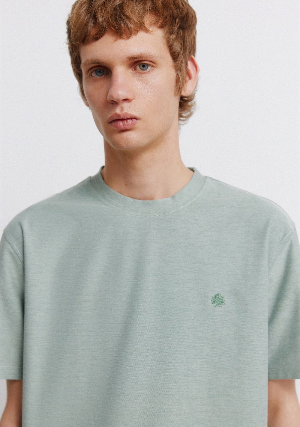 Camiseta de Oxford Springfield 6
