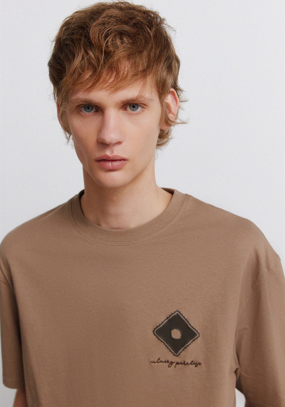 Camiseta de Parches Springfield 2