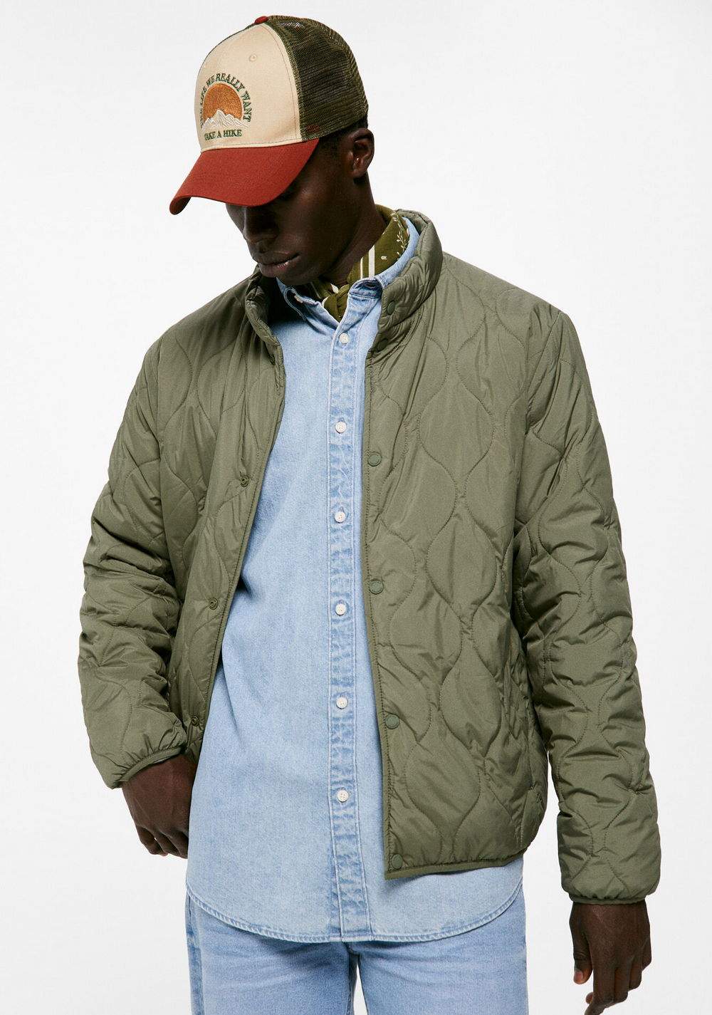 Chaqueta Acolchada Springfield 2
