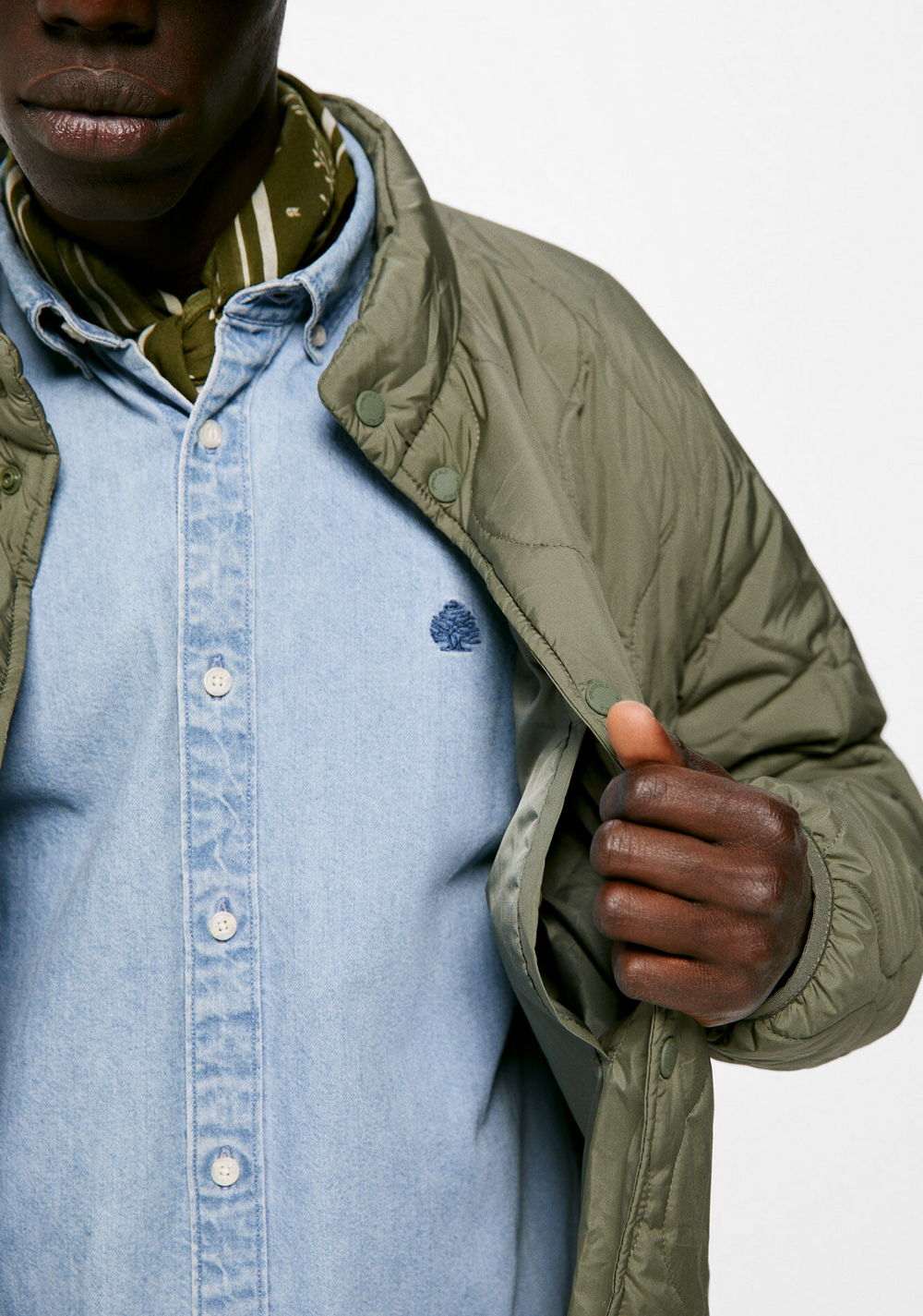 Chaqueta Acolchada Springfield 4
