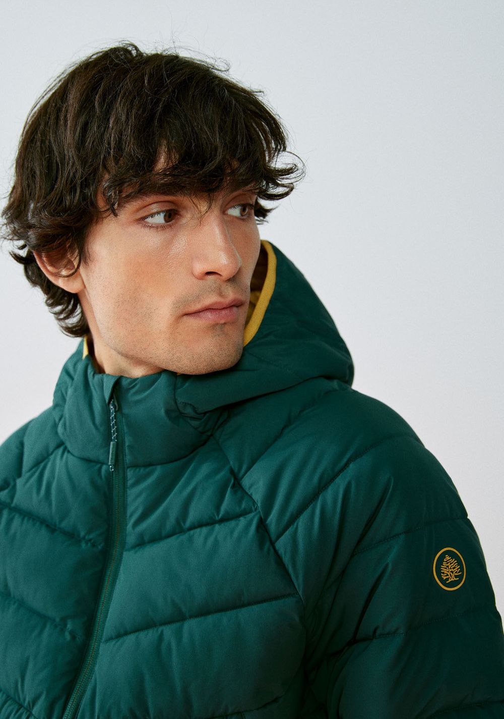Chaqueta Acolchada Térmica Springfield 7