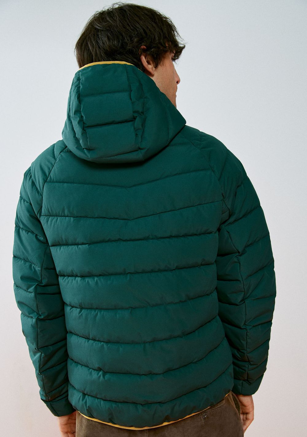 Chaqueta Acolchada Térmica Springfield 5