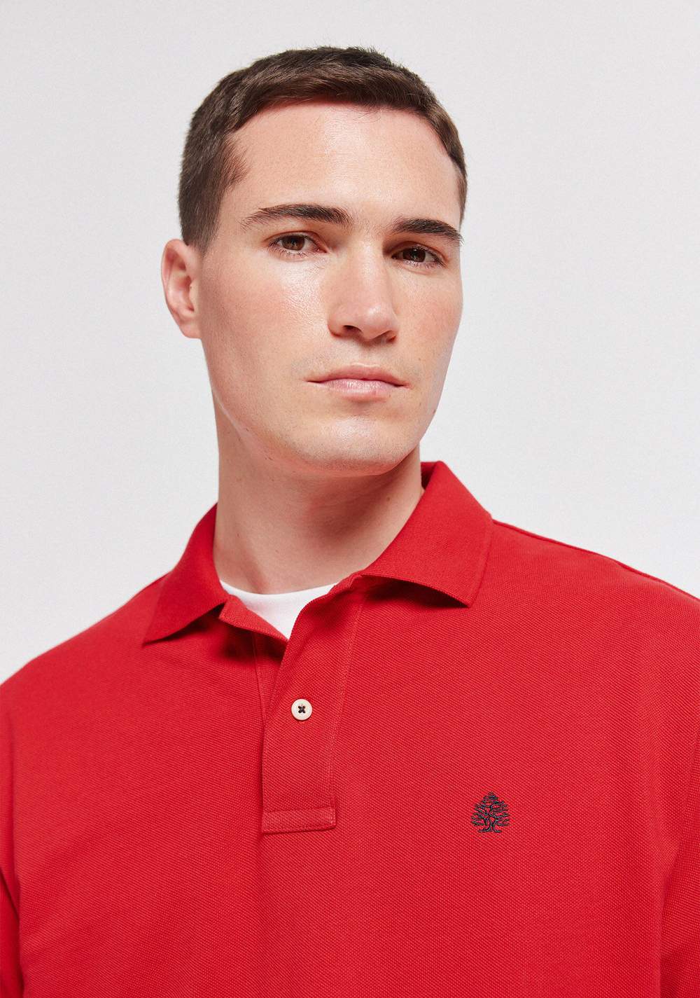 Polo Clásico Regular Fit Springfield 3