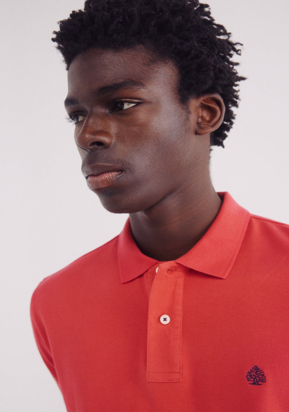 Polo Piqué Clásico Regular Fit Springfield 2