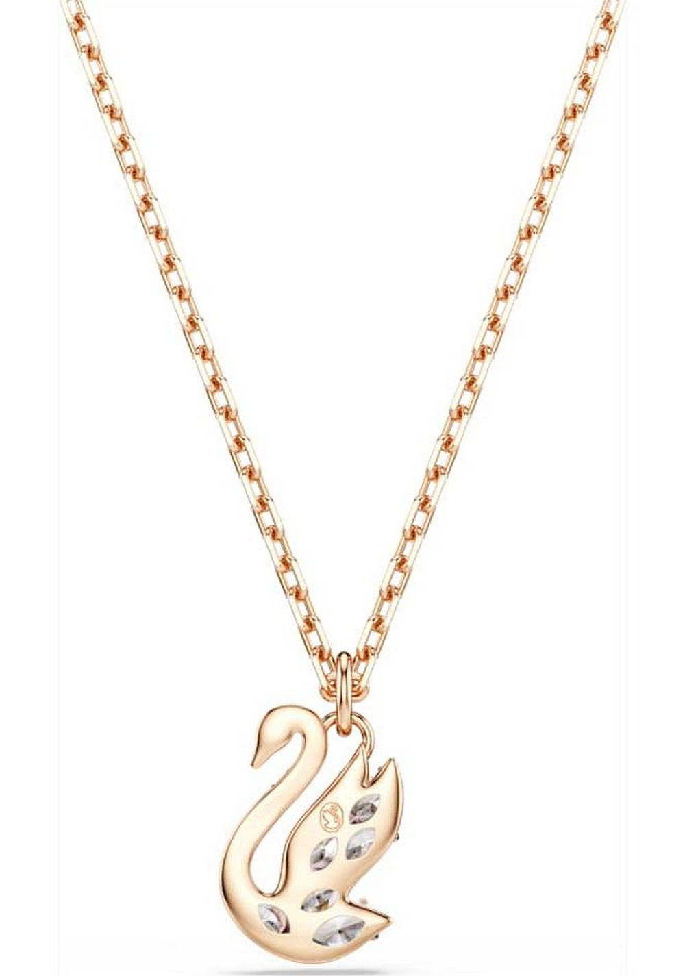 Colgante Swan Blanco Swarovski 4