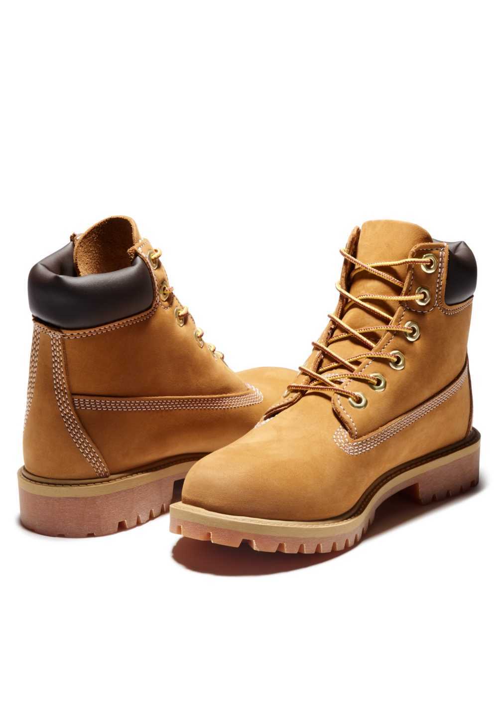 Botas Premium Impermeables 6 Inch Timberland 5