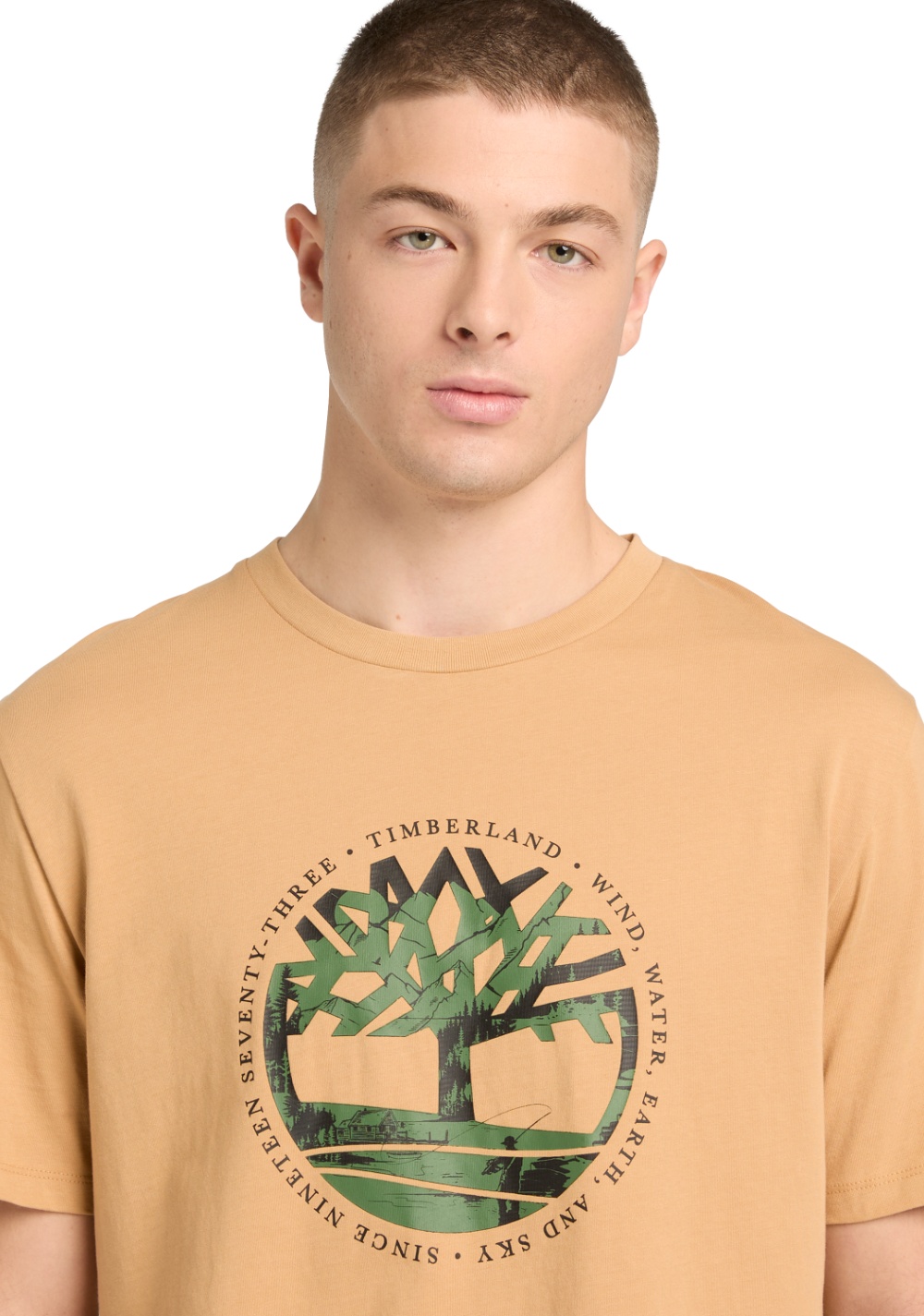 Camiseta Gráfica Lake House con Logo del Árbol Timberland