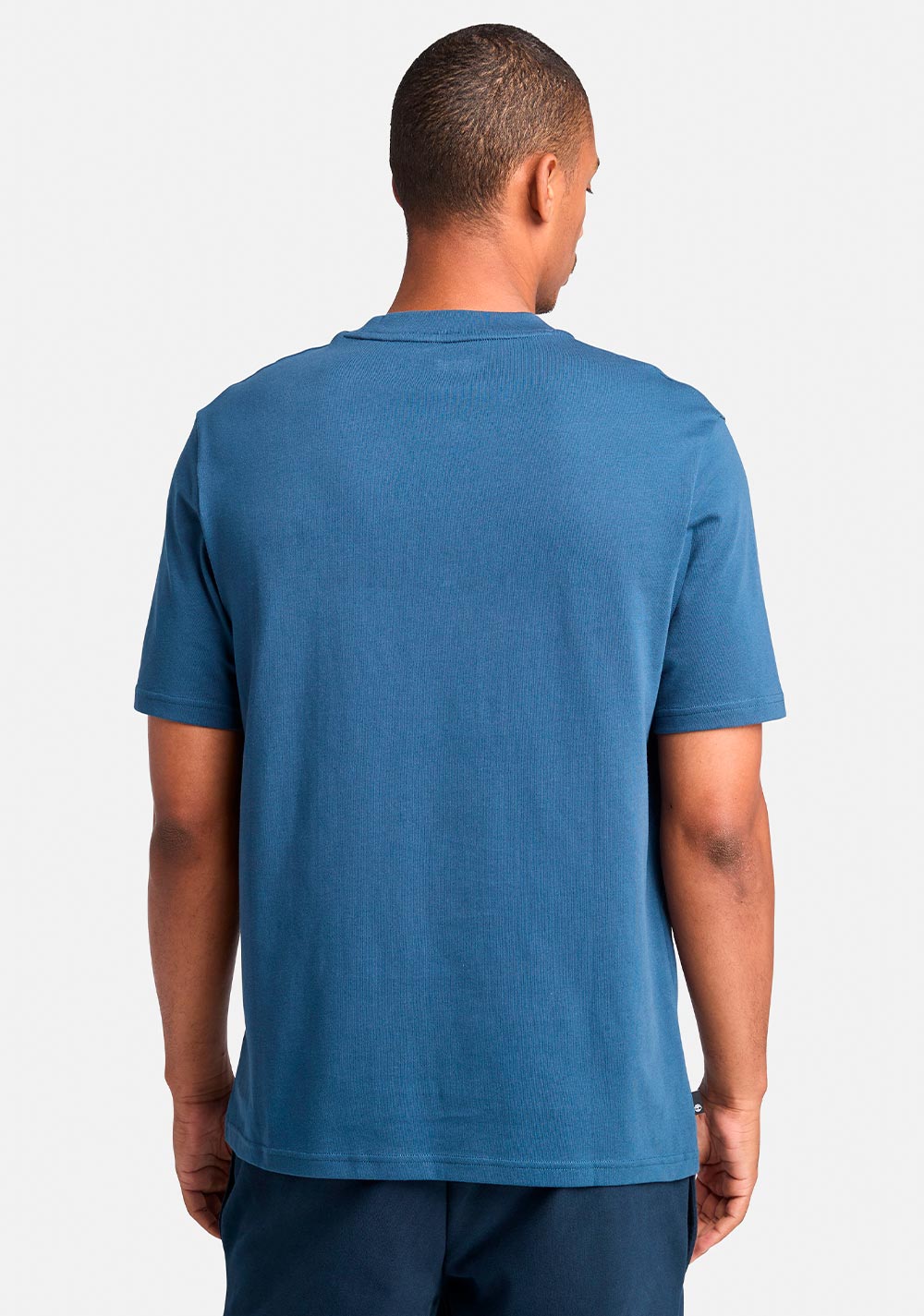 Camiseta Hampton Timberland 2