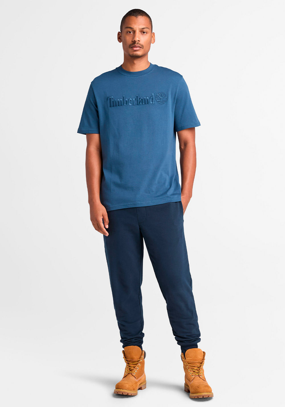 Camiseta Hampton Timberland 4