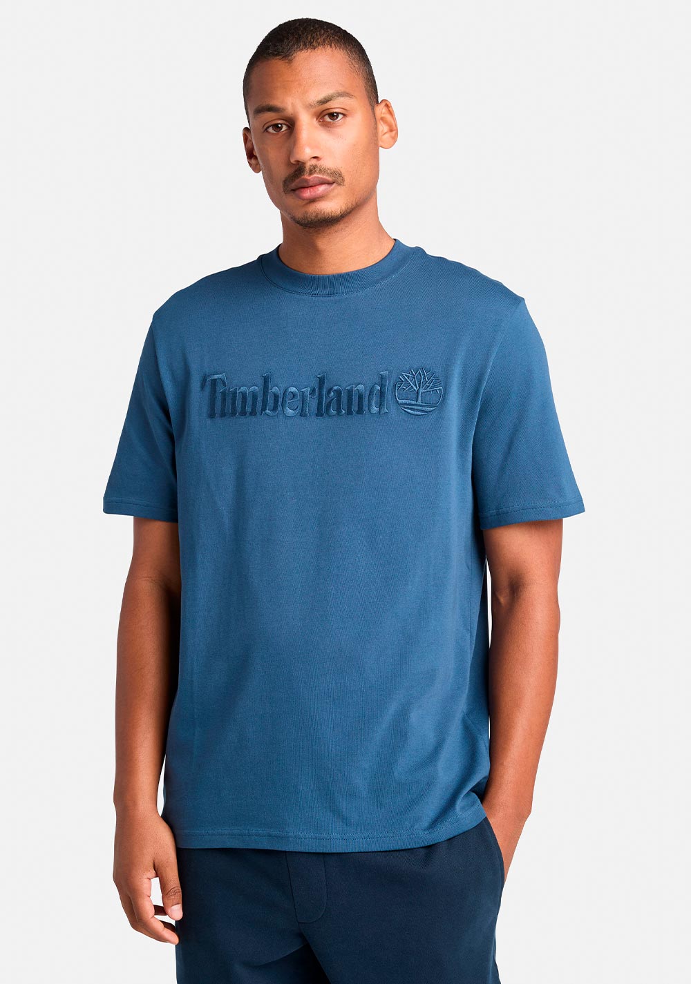 Camiseta Hampton Timberland Imagen Principal