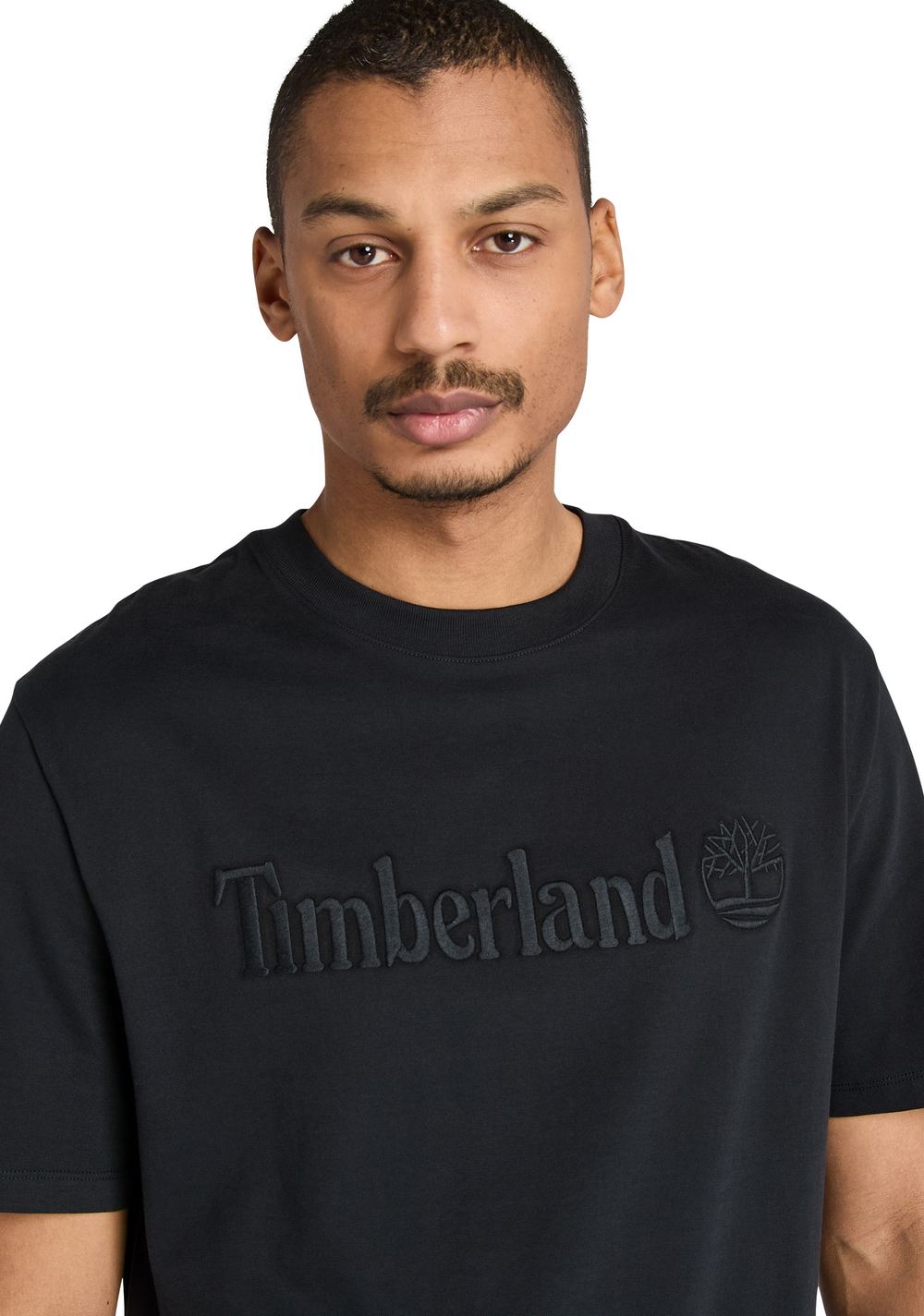 Camiseta Hampton Timberland