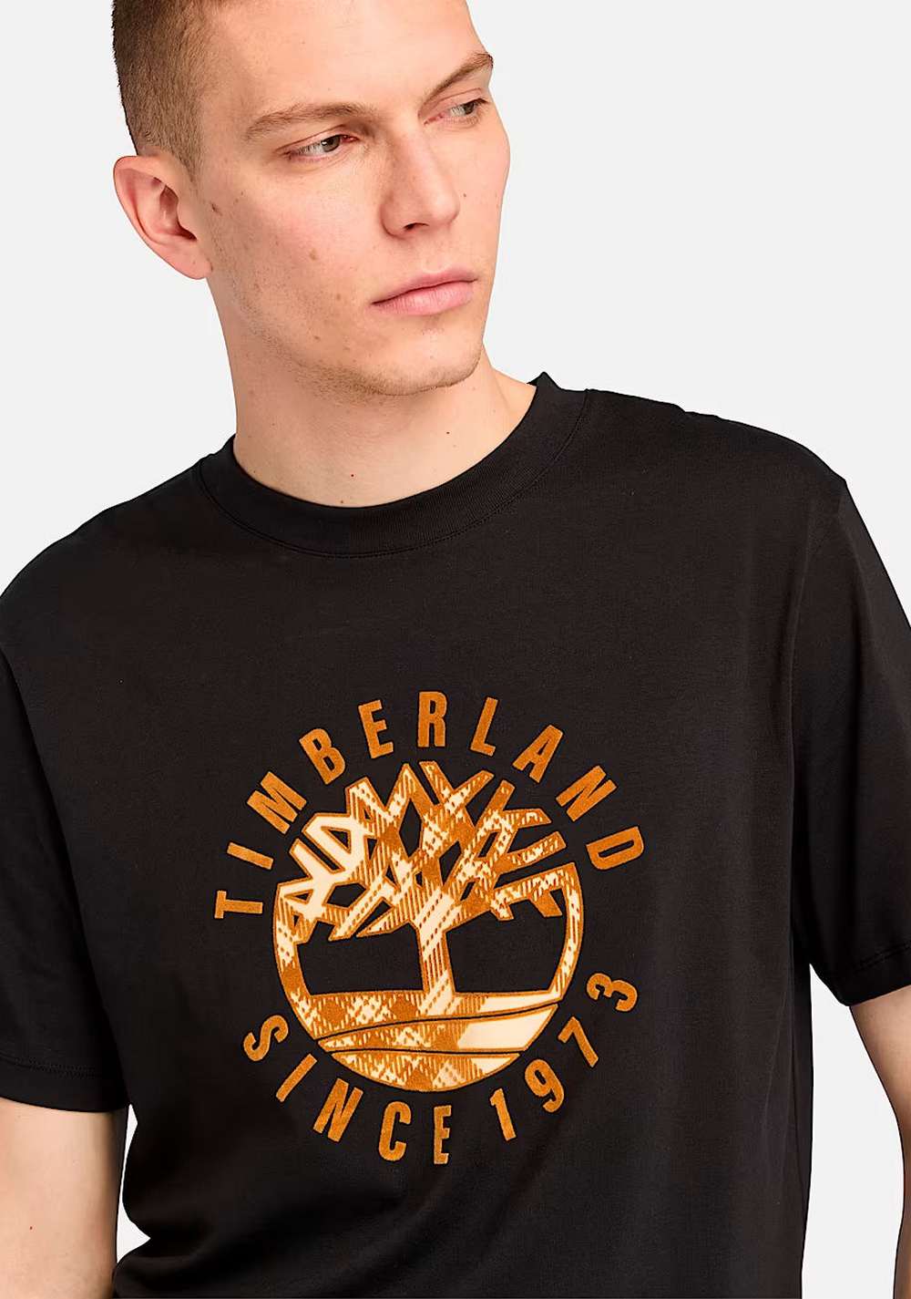 Camiseta Heritage Timberland 3