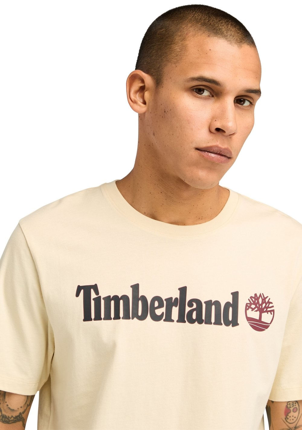 Camiseta Lineal de Corte Regular Kennebec Timberland 3