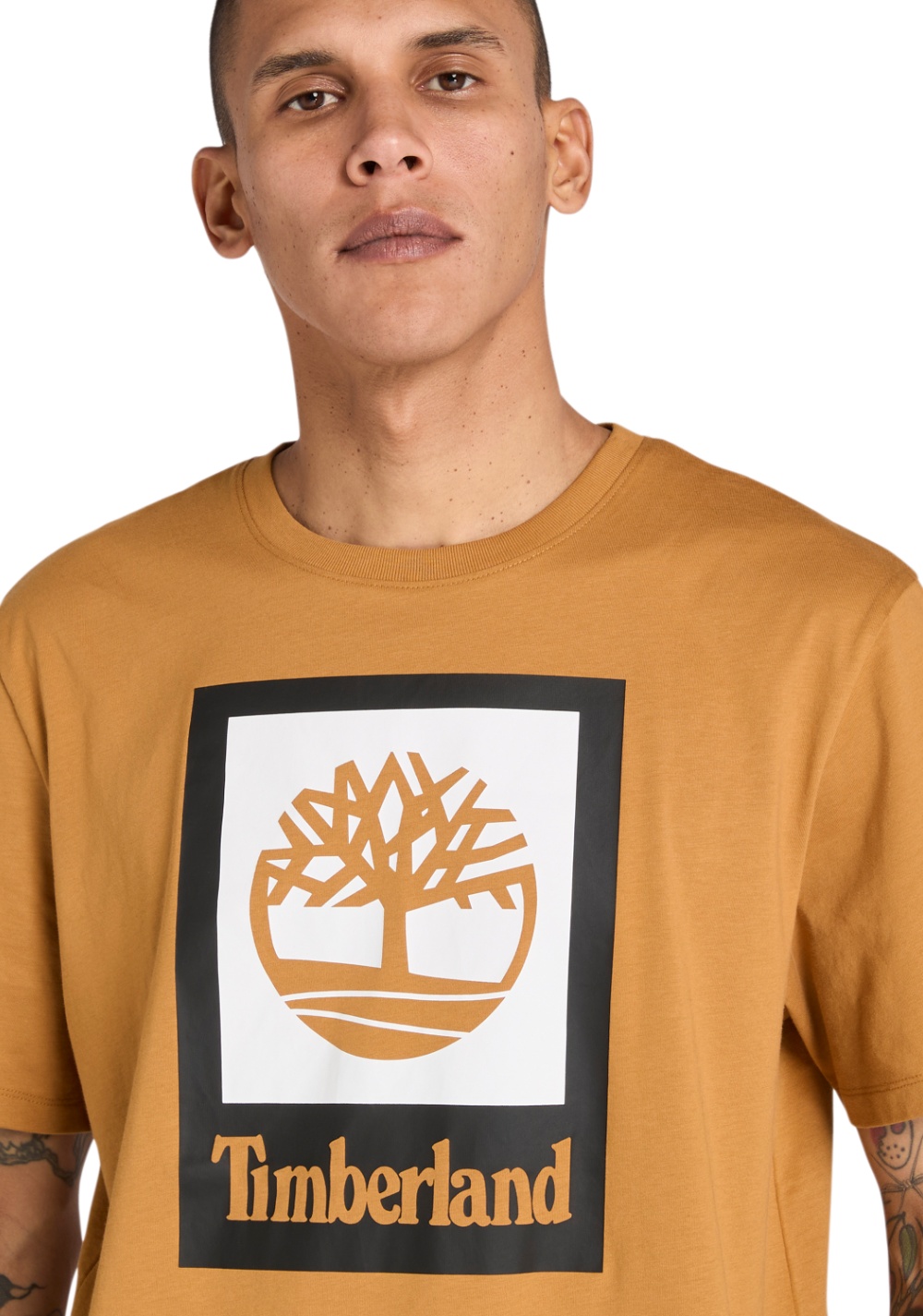 Camiseta Manga Corta de Color Timberland