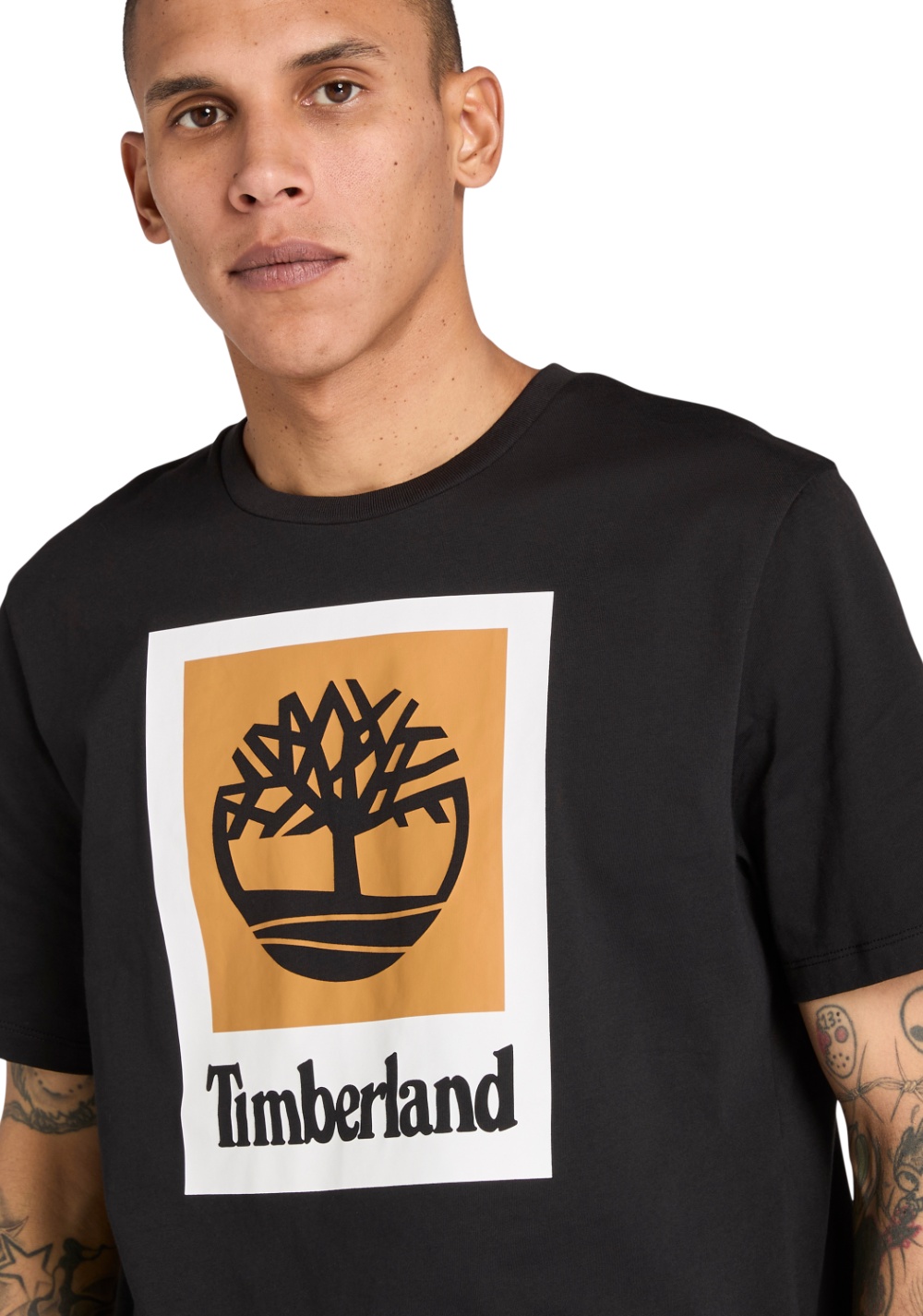 Camiseta Manga Corta de Color Timberland