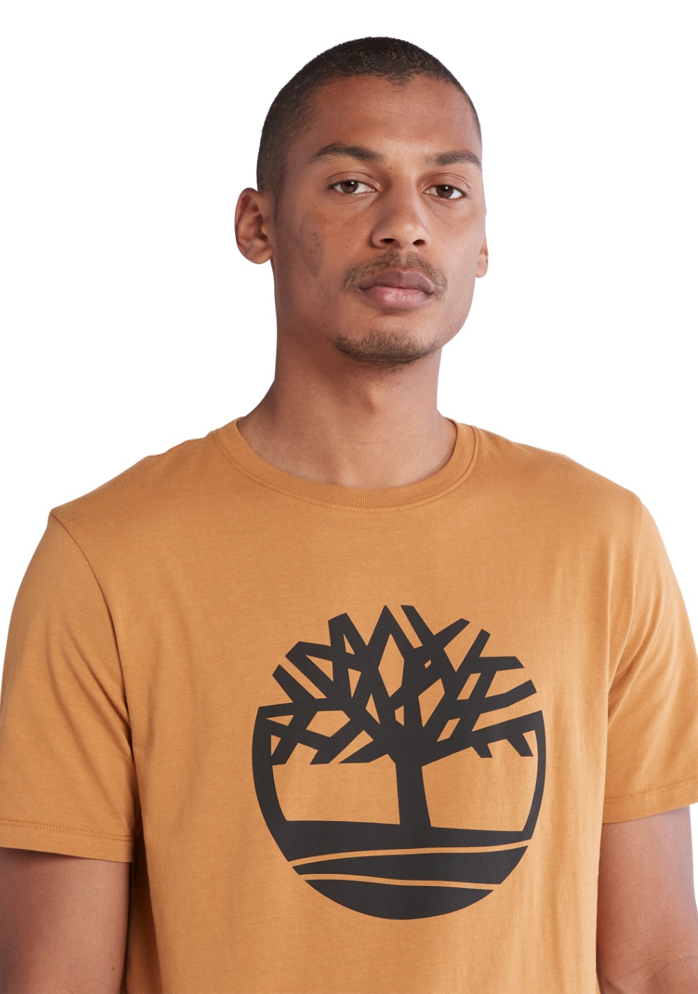 Camiseta Manga Corta con Logo del Árbol Timberland