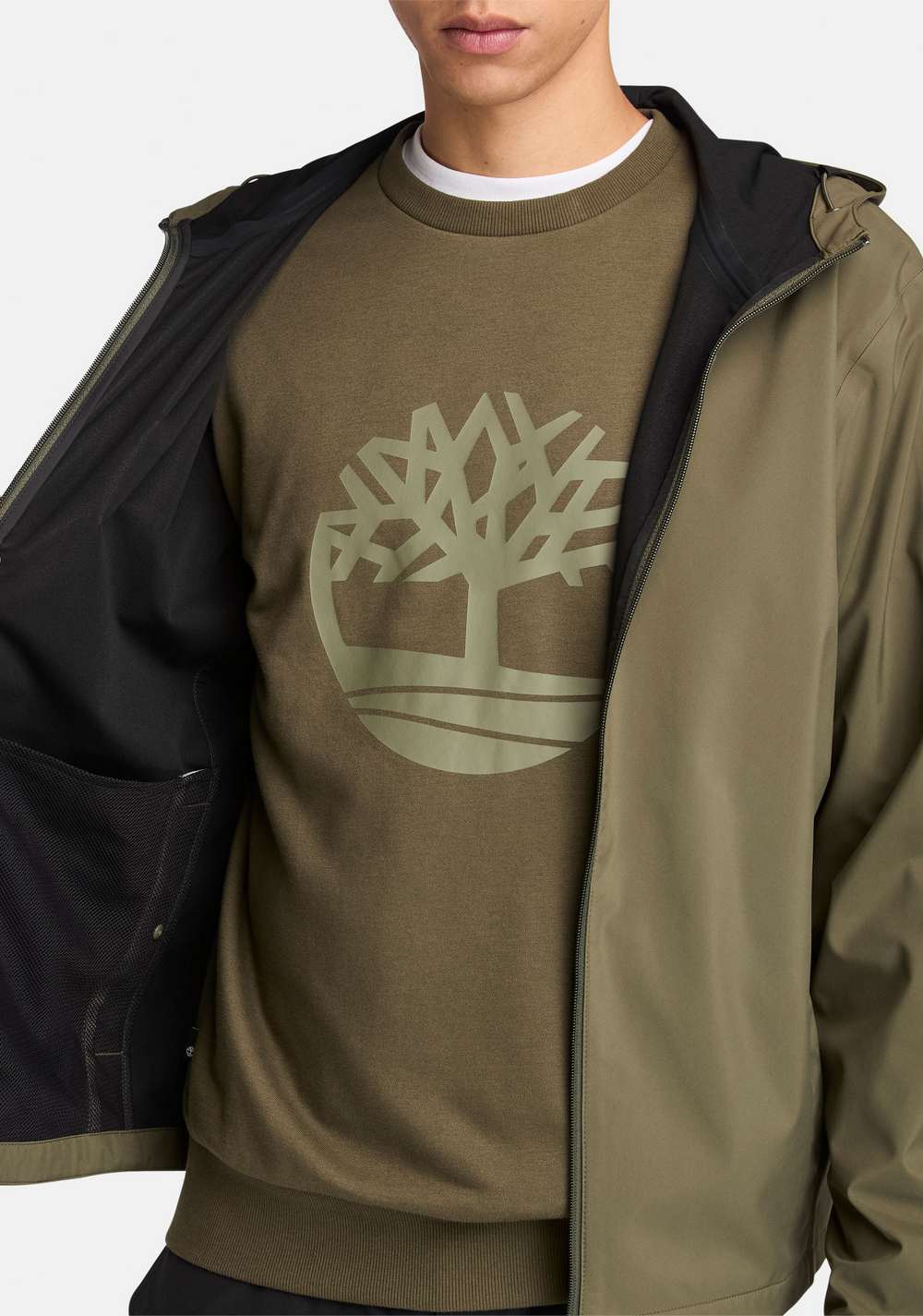 Chaqueta Impermeable Mt. Franklin Timberland 3