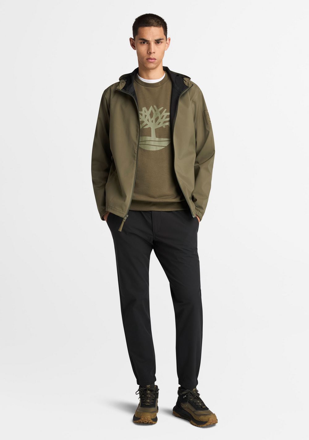 Chaqueta Impermeable Mt. Franklin Timberland 4