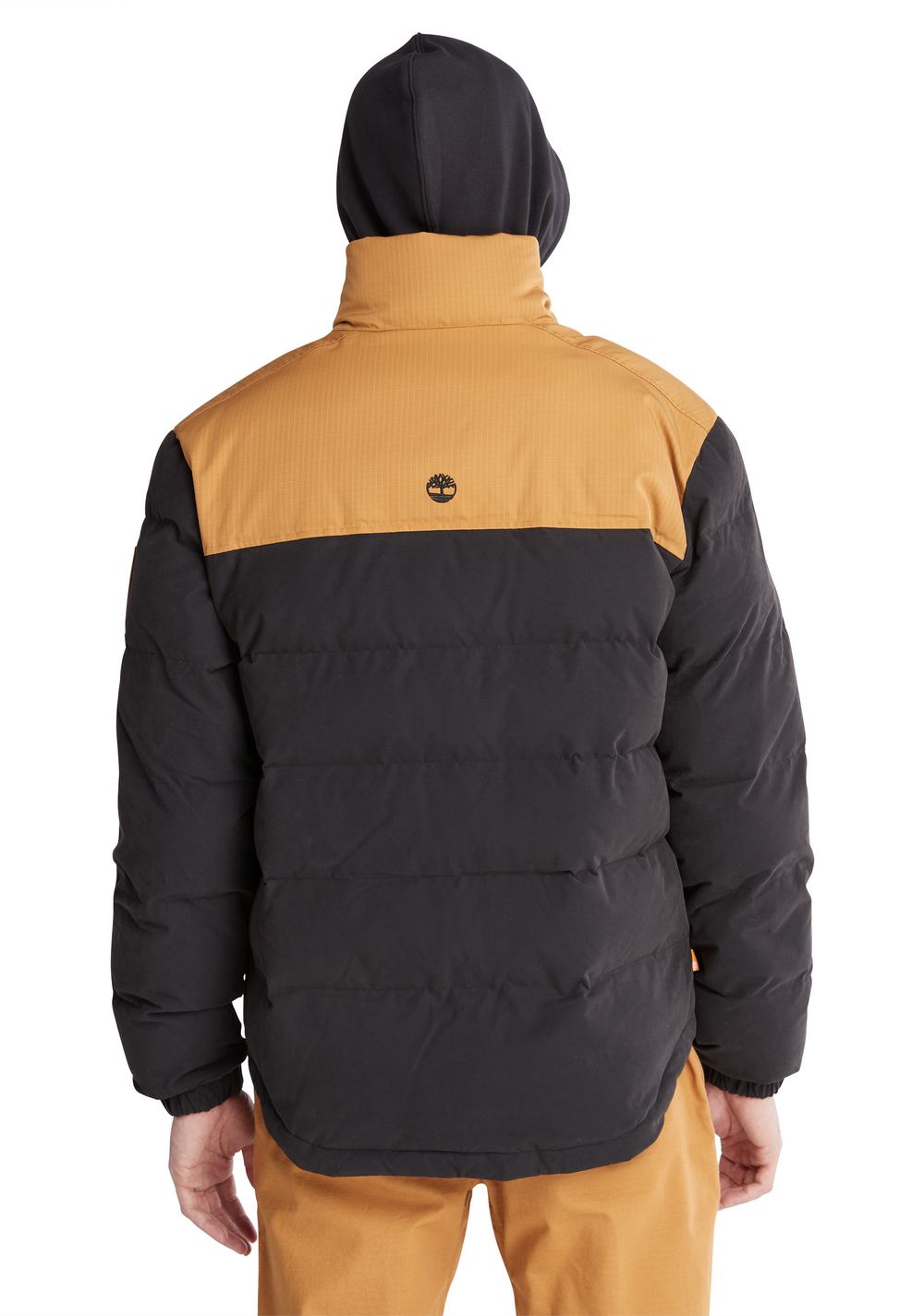 Chaqueta Welch Mountain Puffer Timberland 2