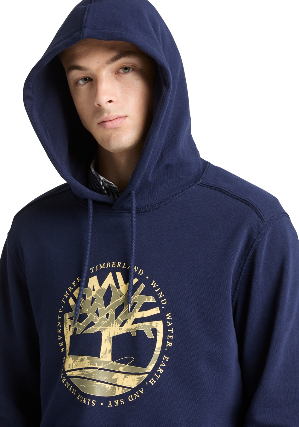 Hoodie Gráfico Lake House con Logo del Árbol Timberland