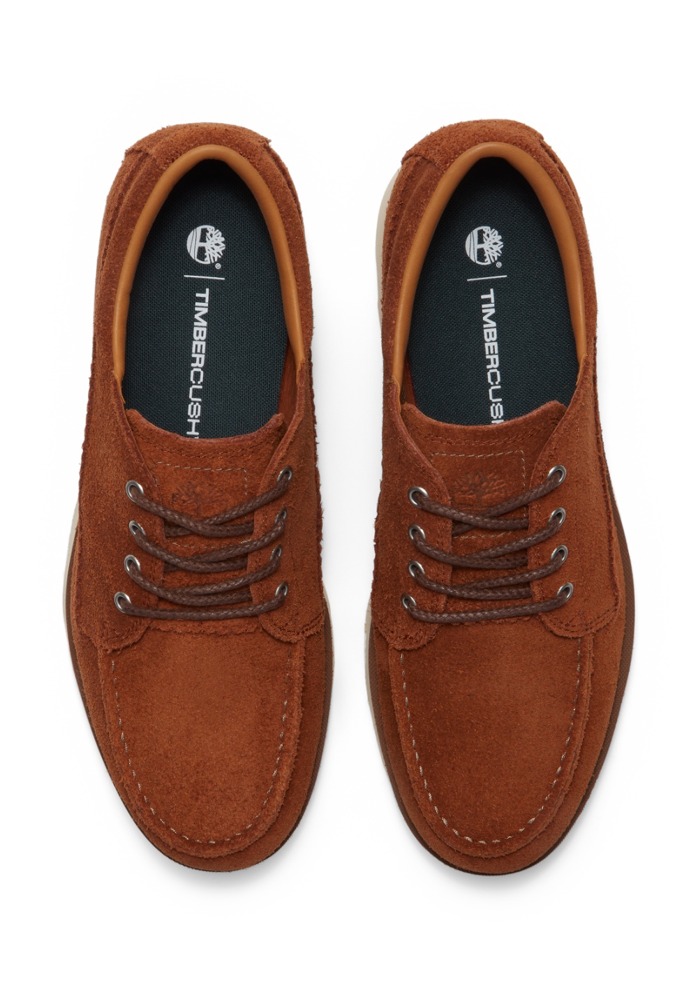 Zapato con Cordones Timberland