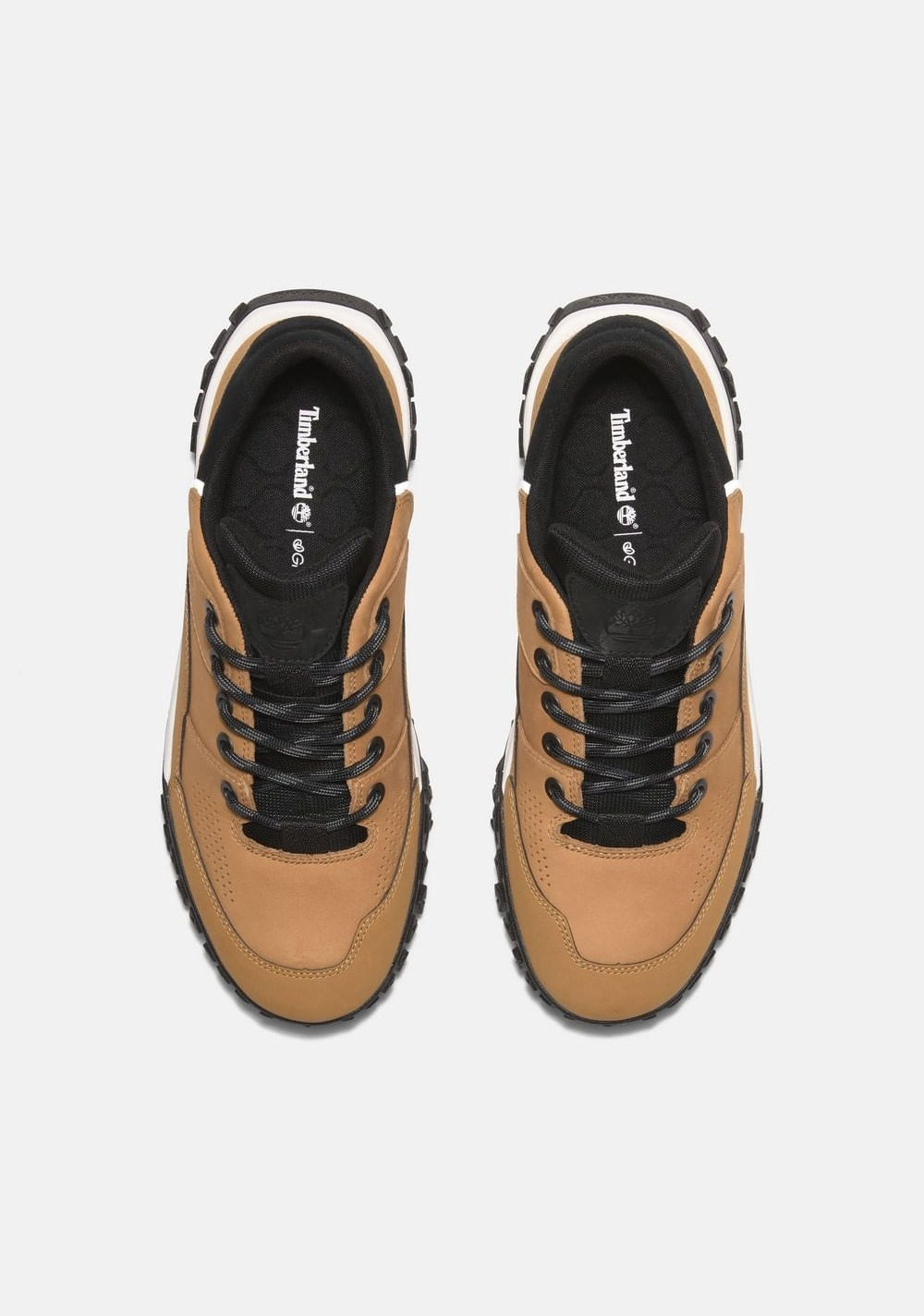 Zapatos de Senderismo Greenstride Motion 6 Timberland 2