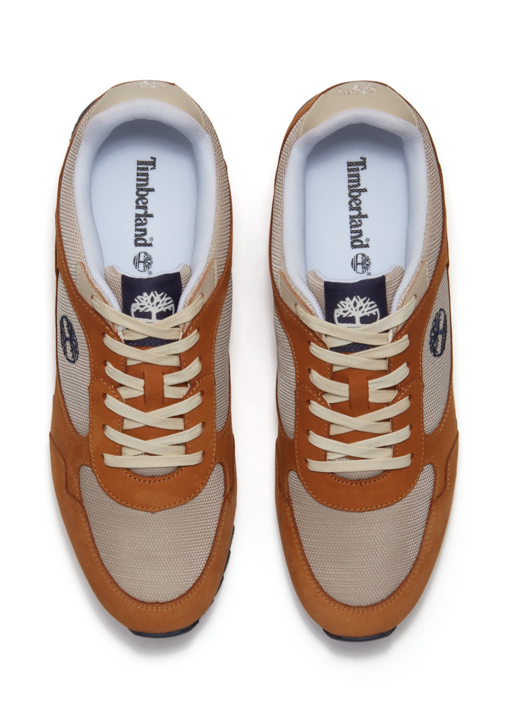 Zapatos Sneaker Corte Bajo con Cordones Timberland