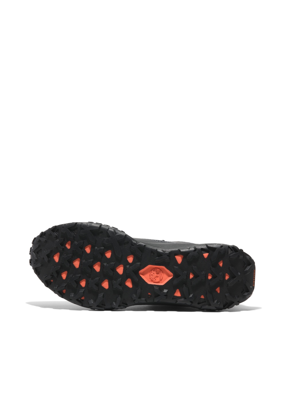 Zapatos Sneaker Corte Bajo con Cordones Timberland